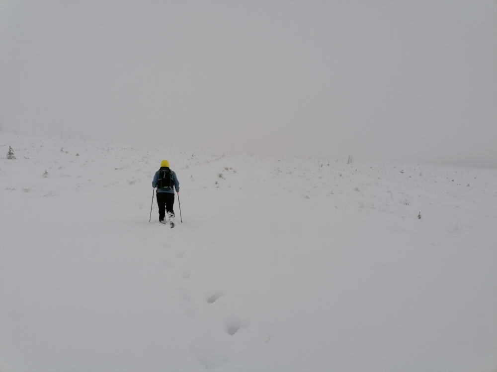 The landscape-format picture is white and grey; one cannot distinguish much between the snow on the ground and the sky on the horizon. Left of the centre is a person wearing a yellow beanie, black rucksack, ski trousers and a blue jacket. They are photographed from behind, treading through the snow with sticks, leaving a trail.