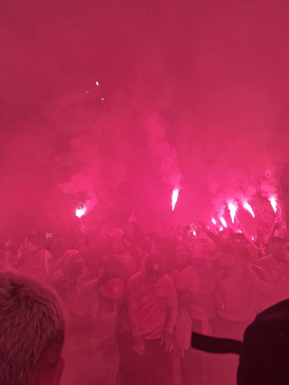 From afar the image is dominated by a red hue with some white spots seeming the middle of the horizontal photograph. At a closer look one can see that it is a picture of a crowd of people standing close to each other. In the first row visible to the viewer, most people hold their heads down. Sprinkled throughout the crowd, one sees people holding up burning torches that emit smoke into the sky, filling the top half of the picture. In front of the crowd, in the lower corners of the image, one can see the backs of two heads facing the crowd.