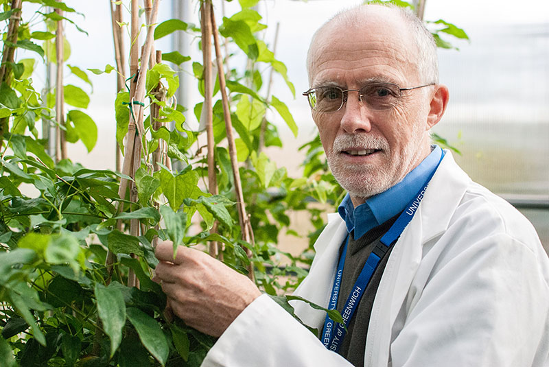 Chris Atkinson - Professor of Sustainable Agriculture and Climate Change