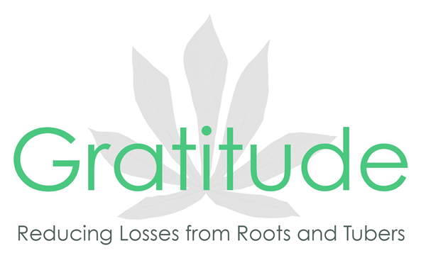 gratitude logo full