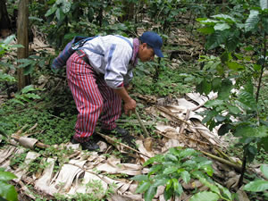 images/images/nri-news/2012/guatemalan-farmer_full.jpg