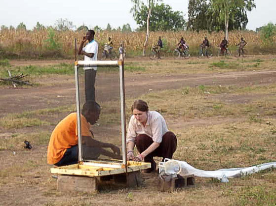 Frances and field assistant setting up an odour-baited electric net for overnight mosquito sampling in Burkina Faso