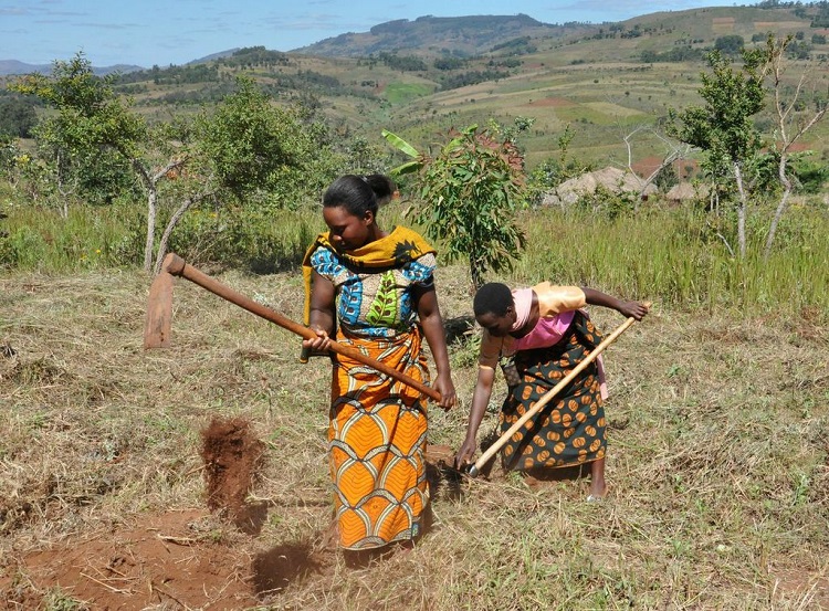 Women in Southern Tanzania demonstrating a traditional soil and water conservation technique. Photo: C Mungai