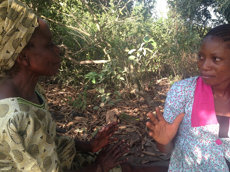 An agricultural extension agent and farmer discuss cassava markets in south west Nigeria | Photo: L Forsythe