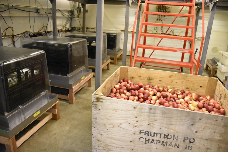 Apples PQC2 G Summers