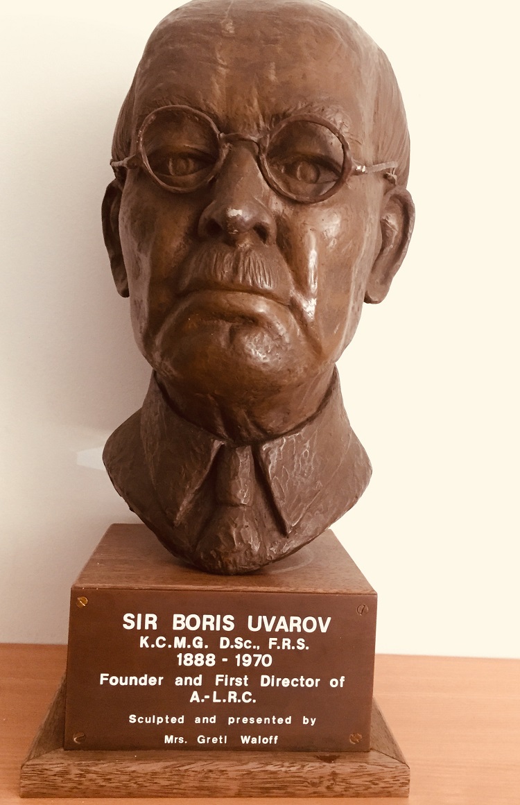 Boris Bust 1 750