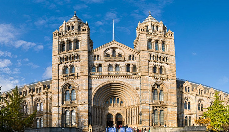 Boris nat his museum 750