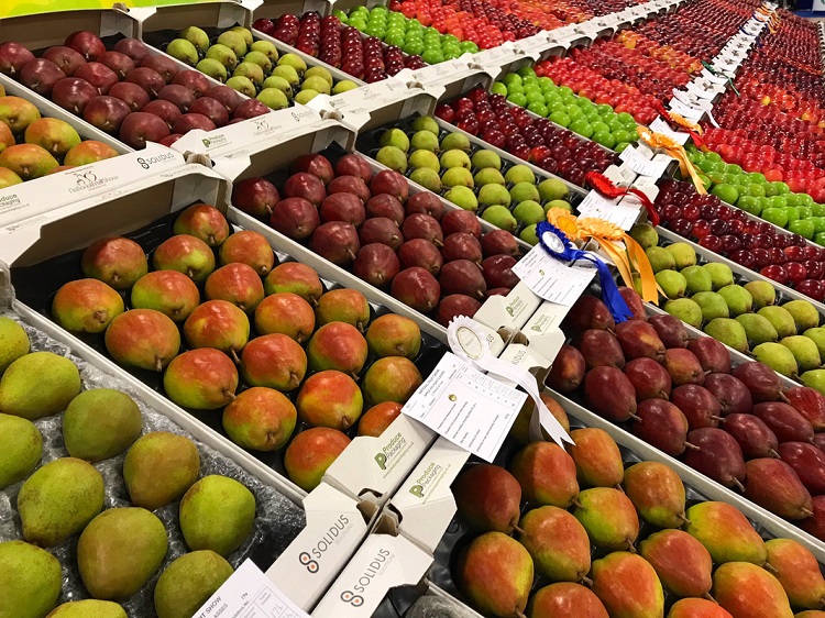 Kent Fruit 1 750