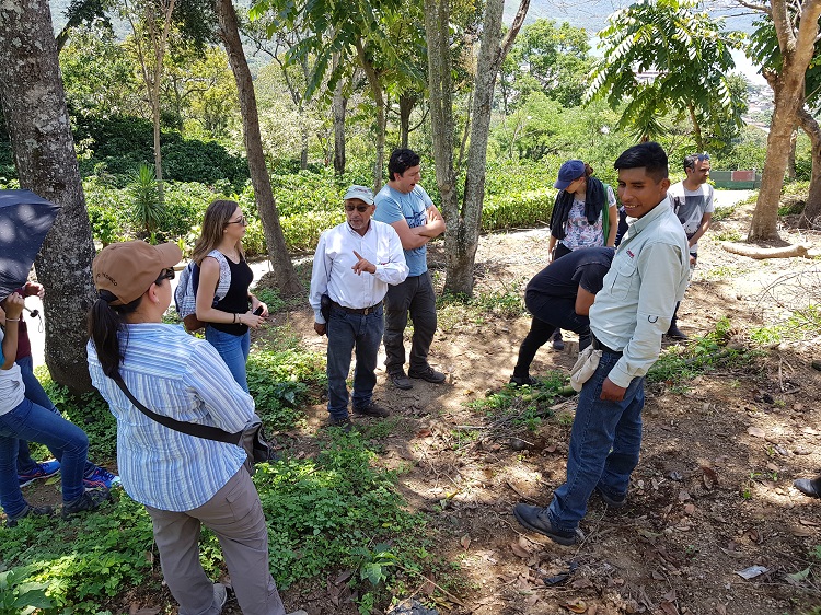 Sustainable coffee 1 750