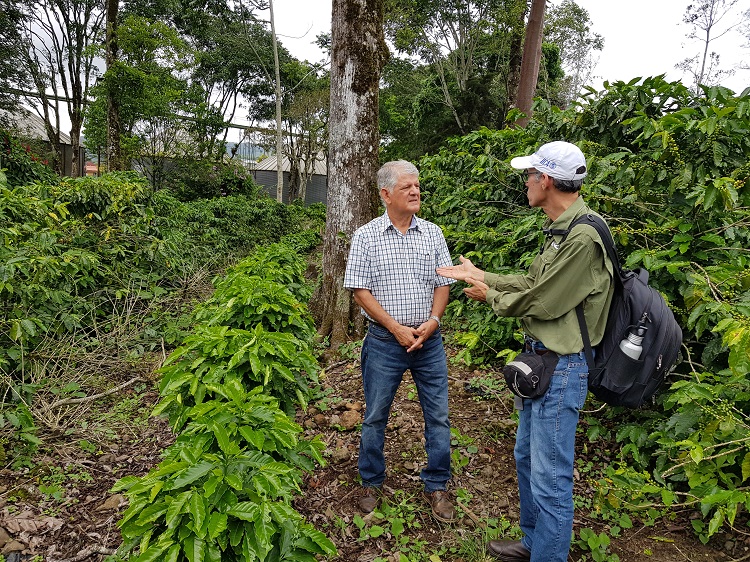 Sustainable coffee 2 750