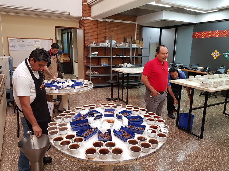 Sustainable coffee 3 750