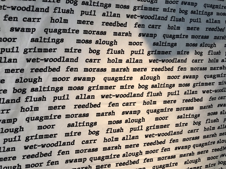 Wetlands words 750