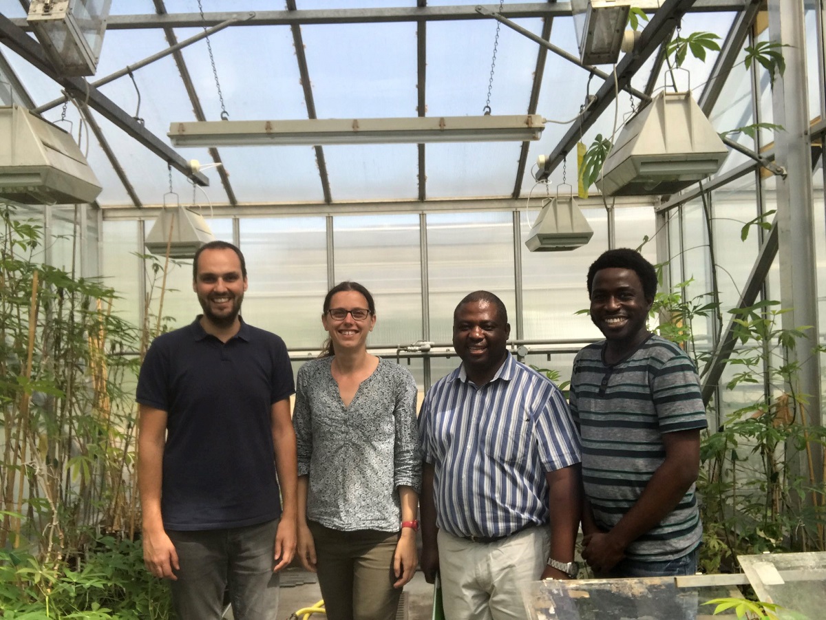 (L-R) NRI's Dr Goncalo Silva and Dr Sophie Bouvaine welcome Mathias Tembo from Zambia and Dr Adedapo Adediji from Nigeria to NRI for a training course in diagnostic tools for plant virus detection | Photo: S Bouvaine