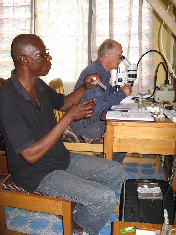 Identifying dissecting blackflies Ghana RA Cheke