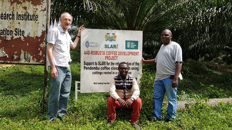 From left to right: Prof Jeremy Haggar, Paul Lahai of SLARI (Sierra Leone Agricultural Research Institute) and Daniel Sarmu | Photo J Haggar