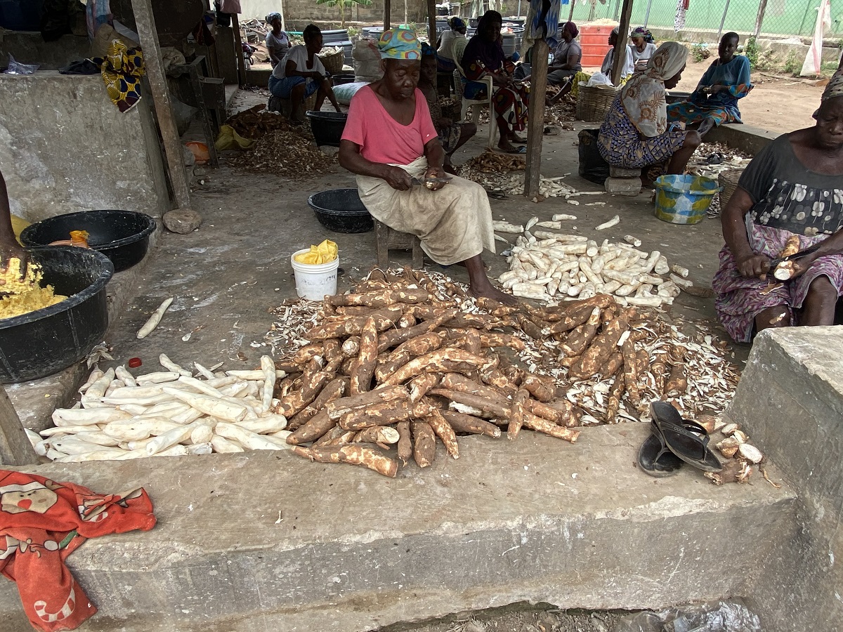 Peeling cassava at a cassava processing association in Nigeria | Photo: L Abayomi