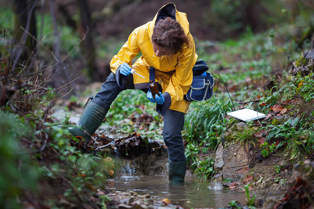 Interdisciplinary teaching programmes equip our students to address real-world problems water sampling