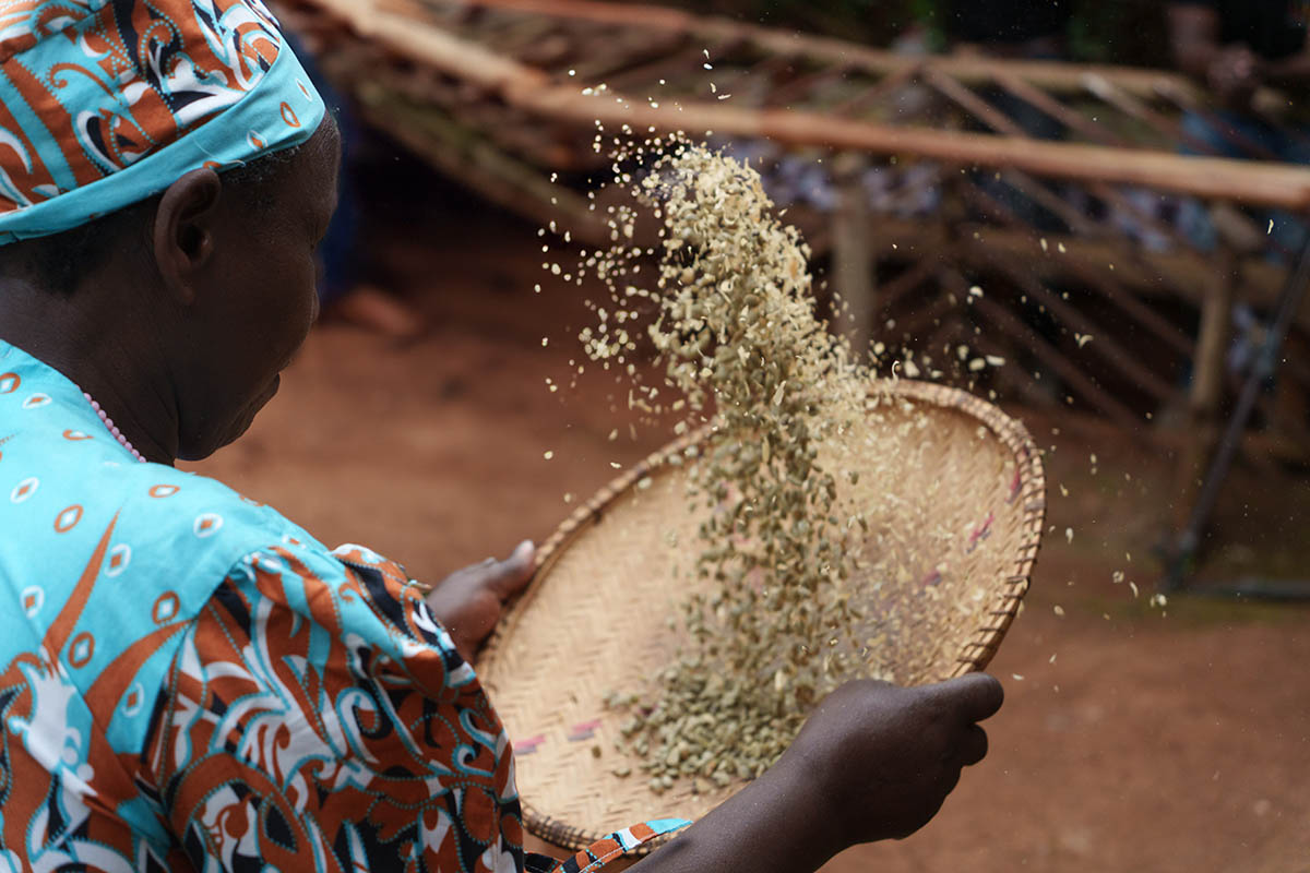 AdobeStock 1379491942