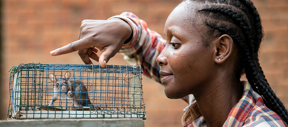 A research assistant with one of the traps used on the project