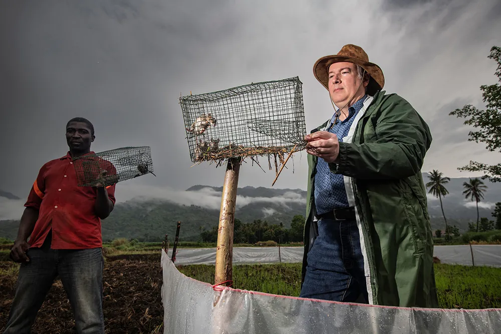 GHS Townsley Rats 2126