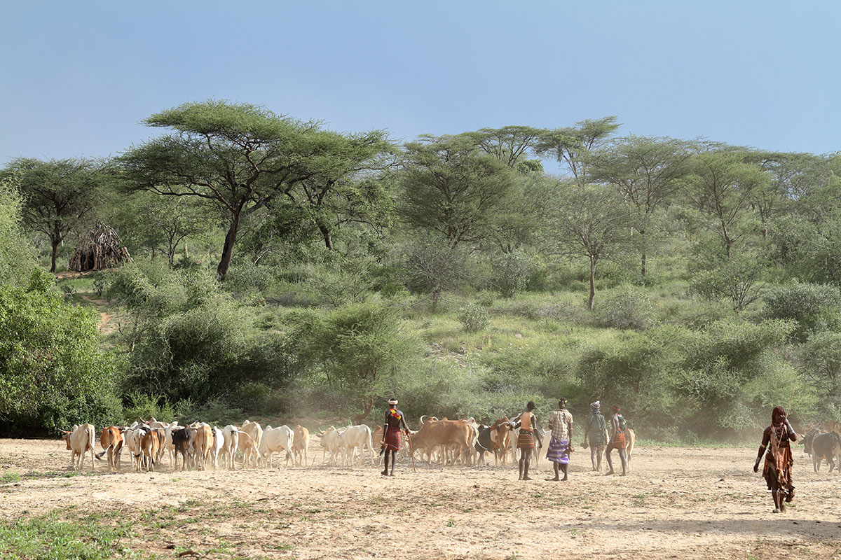 Pastoralists in Ethiopia’s central rift valley, one of the country’s most climate-vulnerable regions