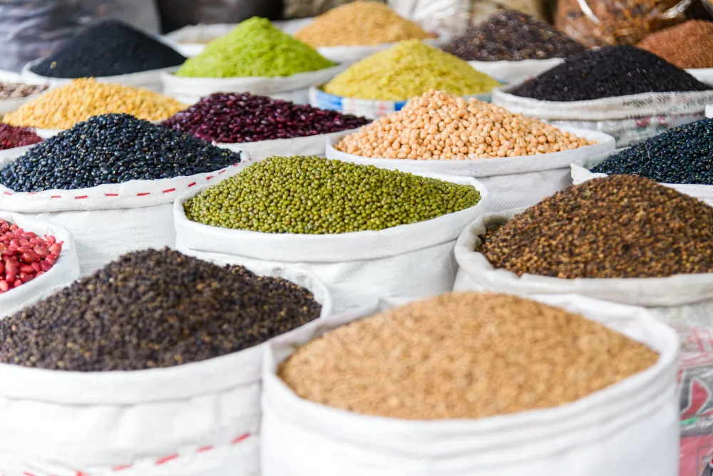 Pulses – beans, peas, chickpeas and lentils – are essential sources of protein for millions of people worldwide