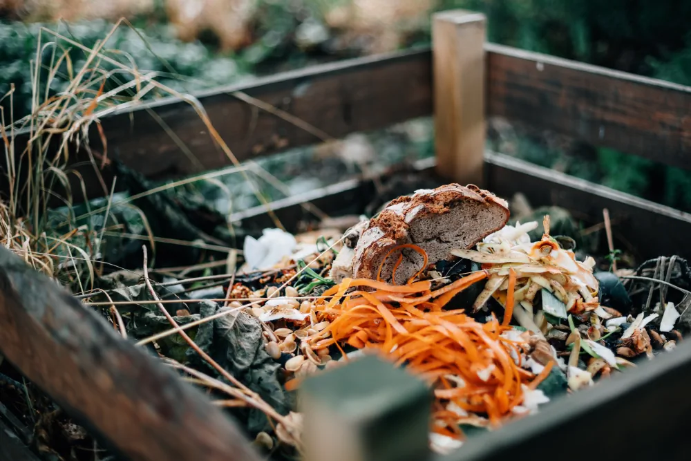 960 tonnes of bread are discarded every day in the UK alone