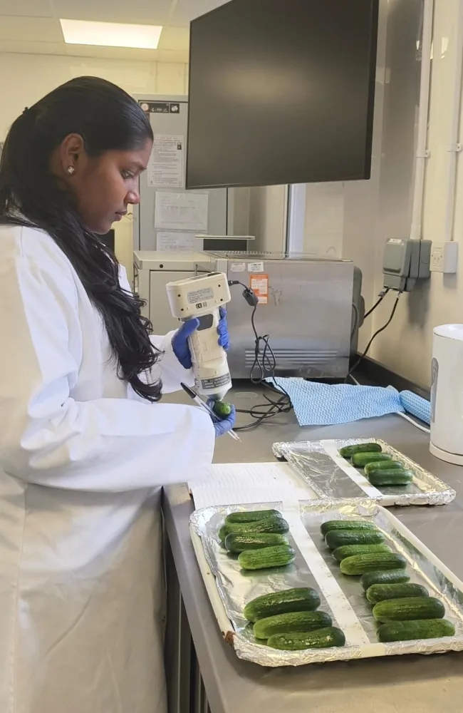 Jeevana doing her research at NRI
