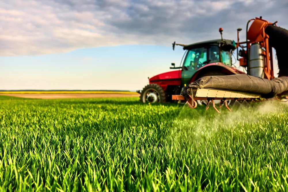 spraying wheat