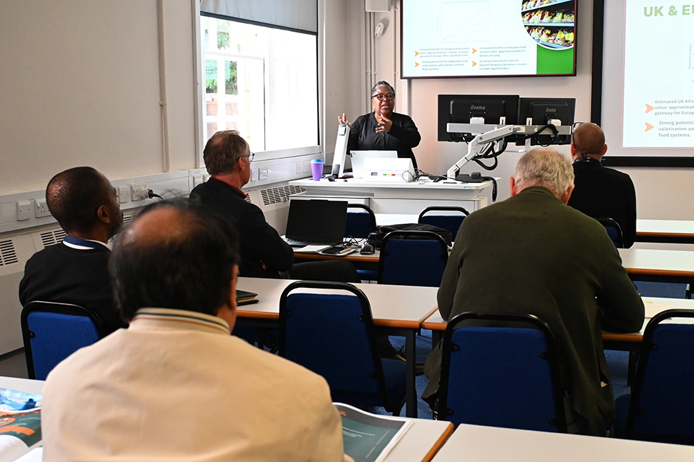 Maureen Duru presenting a new report on the UK African food market during the research culture week